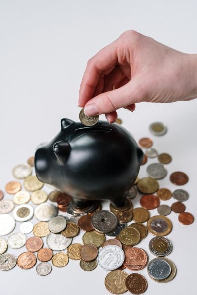 Manage all finances for home business