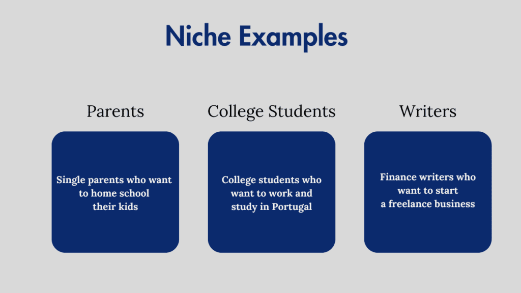 Examples of niche areas to pursue within the categories of parents, college students and writers.